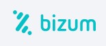 bizum payment solution